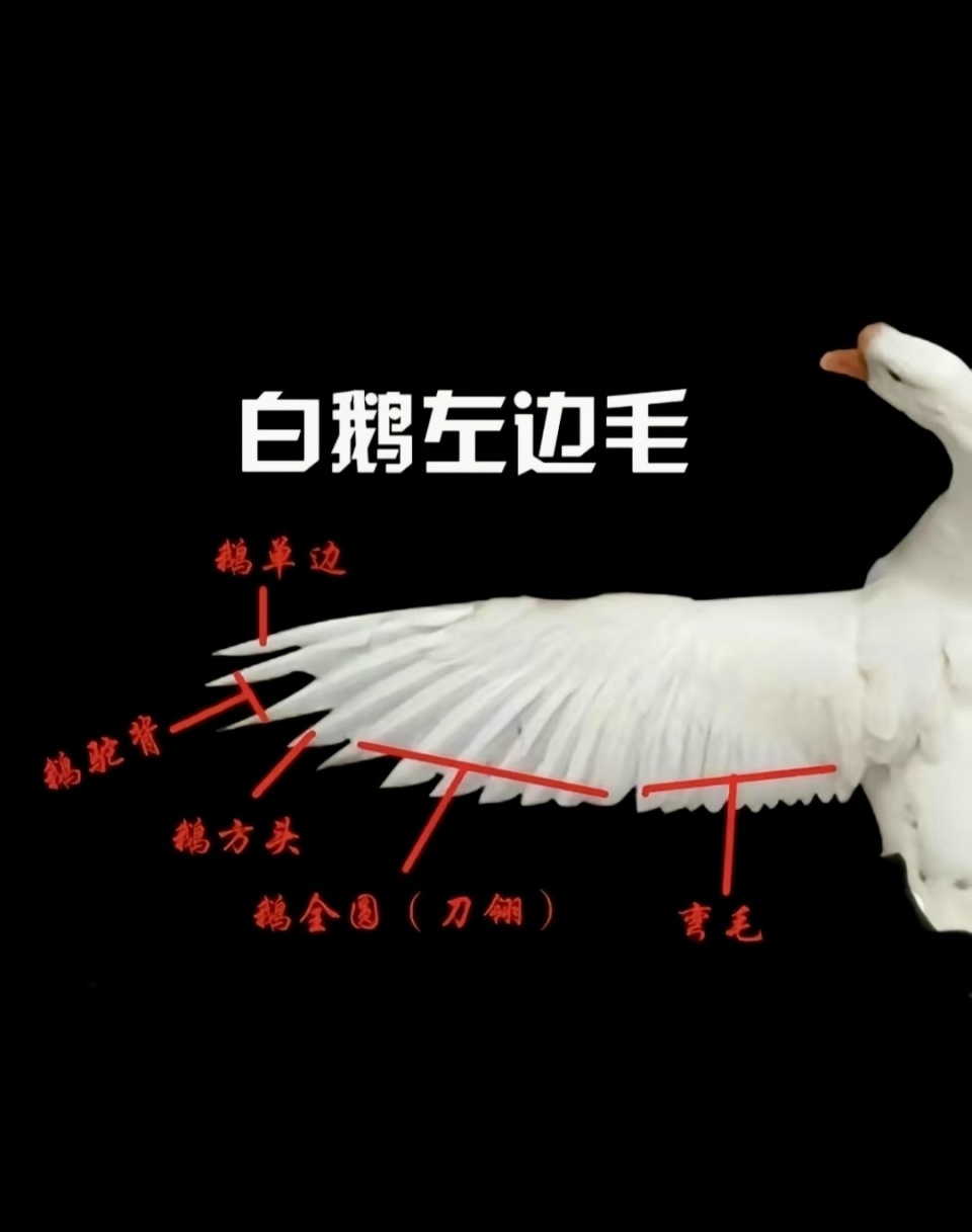 我国是全球 我国是全球