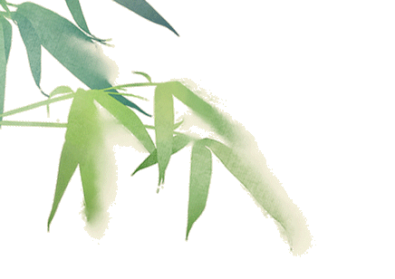 单位, om, SSOYi 单位, om, SSOYi